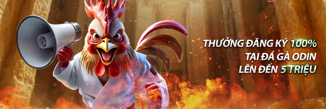 Đá Gà Trực Tiếp Thomo